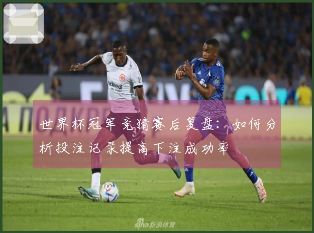 世界杯冠军竞猜赛后复盘：如何分析投注记录提高下注成功率