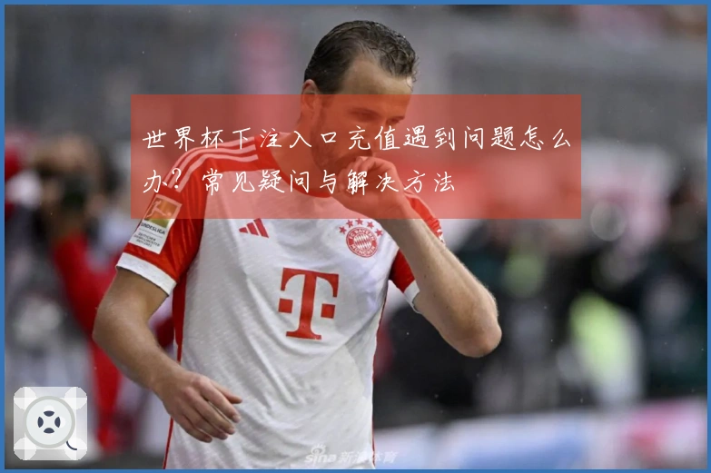 世界杯下注入口充值遇到问题怎么办？常见疑问与解决方法
