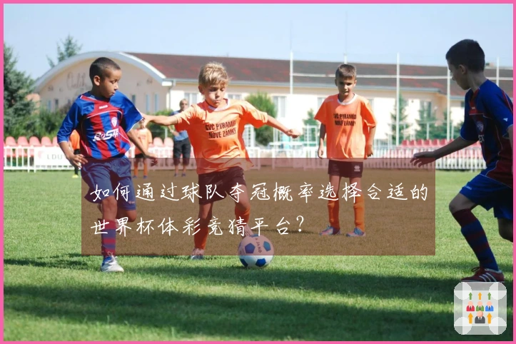 如何通过球队夺冠概率选择合适的世界杯体彩竞猜平台？