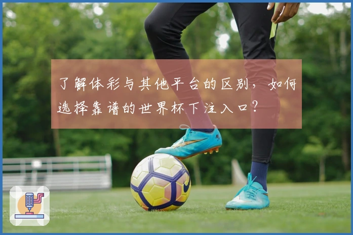 了解体彩与其他平台的区别，如何选择靠谱的世界杯下注入口？