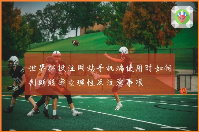 世界杯投注网站手机端使用时如何判断赔率合理性及注意事项