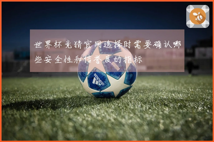 世界杯竞猜官网选择时需要确认哪些安全性和信誉度的指标