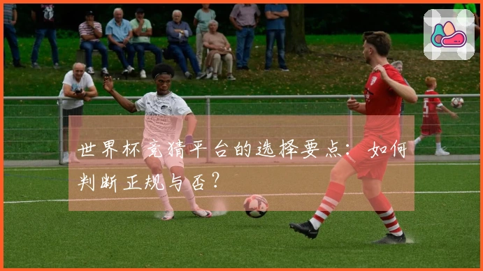 世界杯竞猜平台的选择要点：如何判断正规与否？