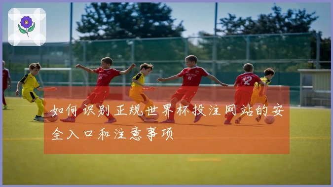 如何识别正规世界杯投注网站的安全入口和注意事项
