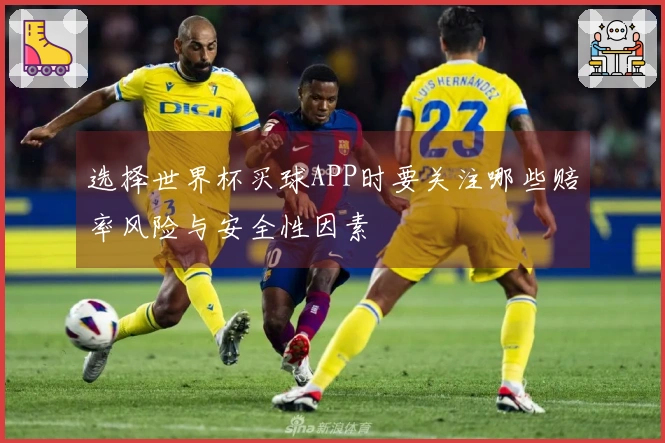 选择世界杯买球APP时要关注哪些赔率风险与安全性因素
