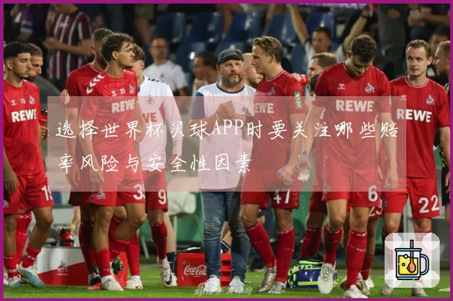 选择世界杯买球APP时要关注哪些赔率风险与安全性因素