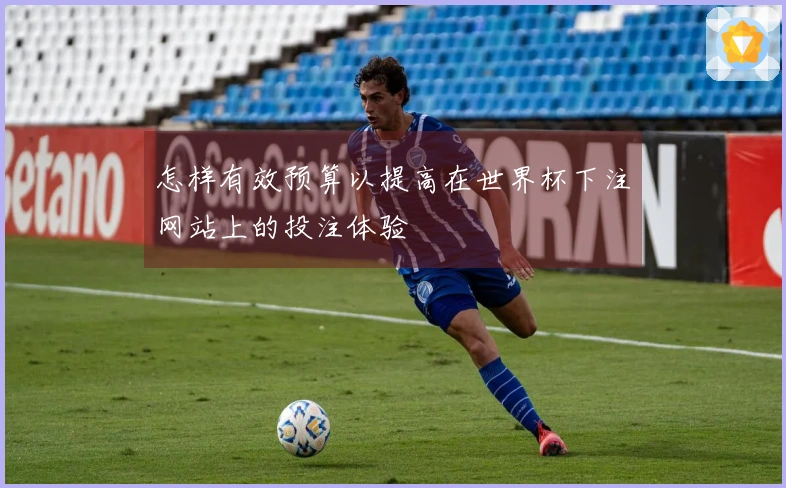 怎样有效预算以提高在世界杯下注网站上的投注体验