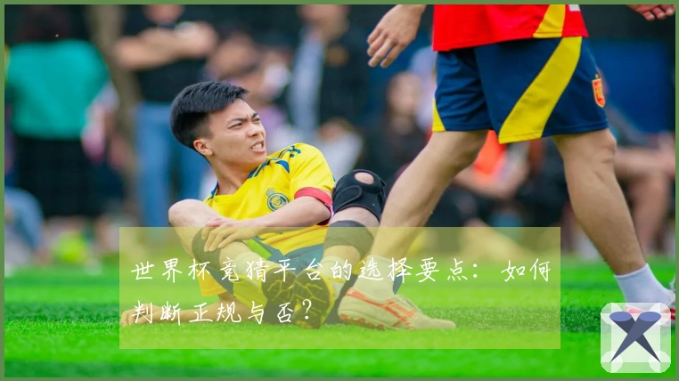 世界杯竞猜平台的选择要点：如何判断正规与否？