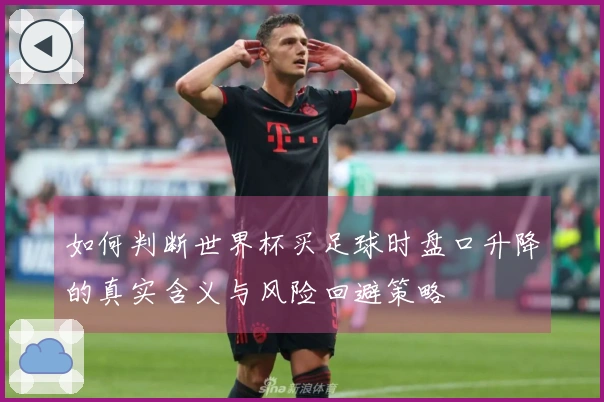 如何判断世界杯买足球时盘口升降的真实含义与风险回避策略