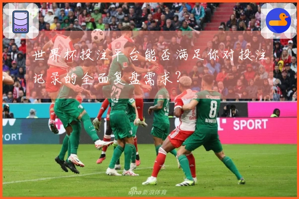 世界杯投注平台能否满足你对投注记录的全面复盘需求？