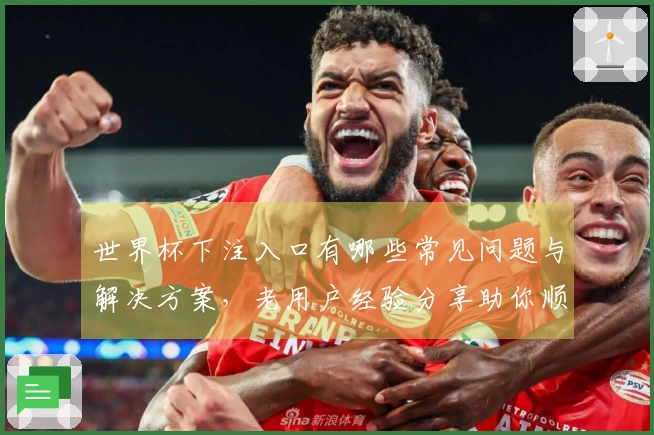 世界杯下注入口有哪些常见问题与解决方案，老用户经验分享助你顺利下注