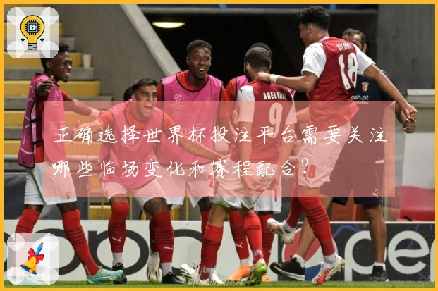 正确选择世界杯投注平台需要关注哪些临场变化和赛程配合？