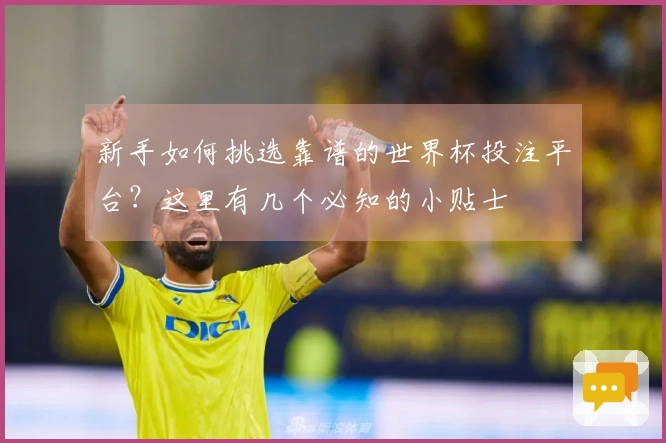 新手如何挑选靠谱的世界杯投注平台？这里有几个必知的小贴士