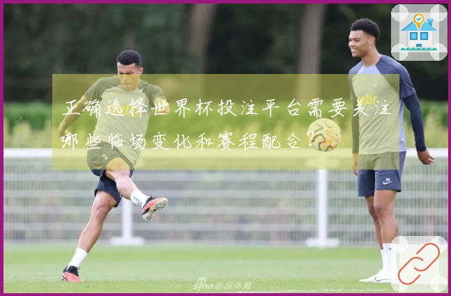 正确选择世界杯投注平台需要关注哪些临场变化和赛程配合？